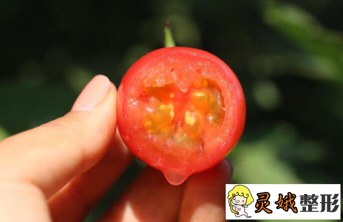 吃小番茄可以减肥吗