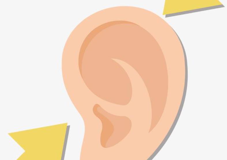 耳朵整形h1.jpg